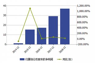 宁夏前首富 闹钱荒 百亿煤化工项目缩水后仍现巨额资金缺口